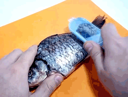 Fish scale remover – Uređaj za čišćenje krljušti ribe slider
