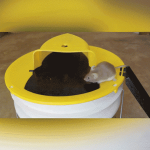 Mousetrap – Zamka za miševe i štakore 03